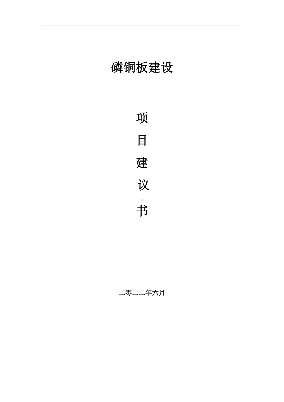 磷铜板项目建议书（写作模板）.doc_第1页