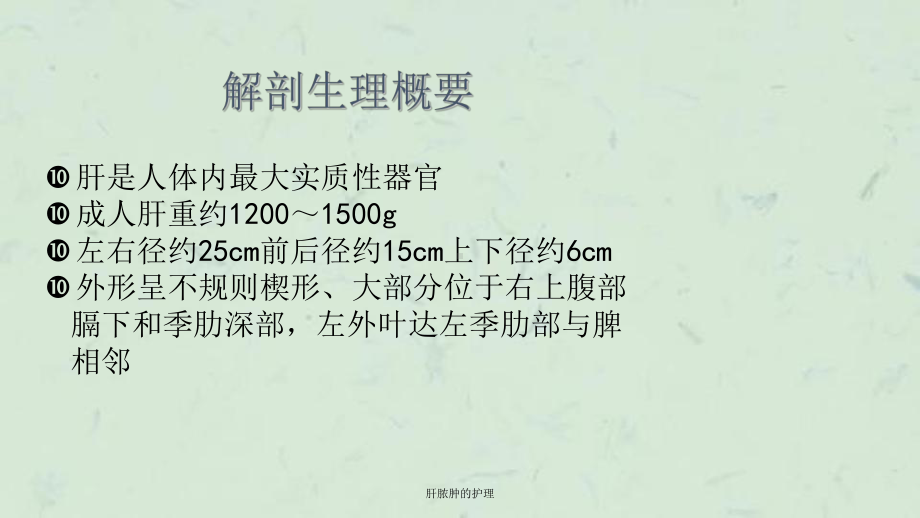 肝脓肿的护理课件.ppt_第2页