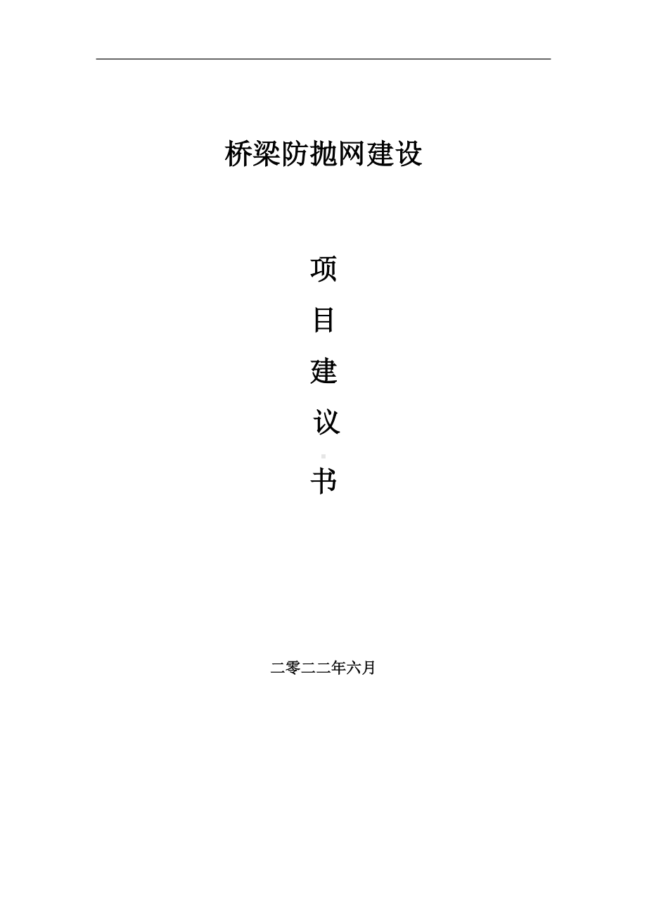 桥梁防抛网项目建议书（写作模板）.doc_第1页