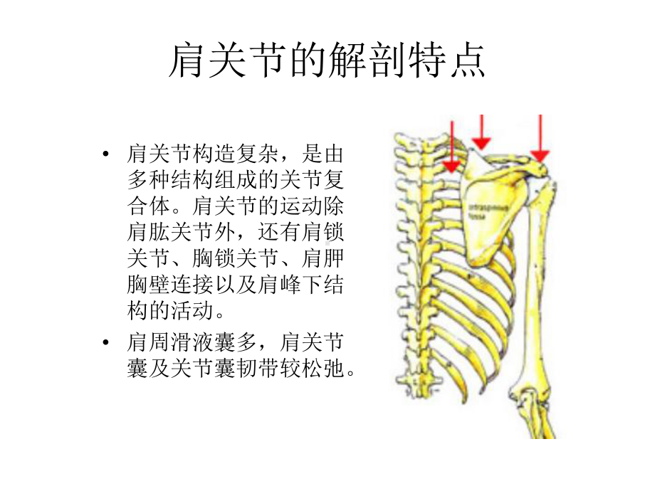 肩外展的康复培训课件.ppt_第2页