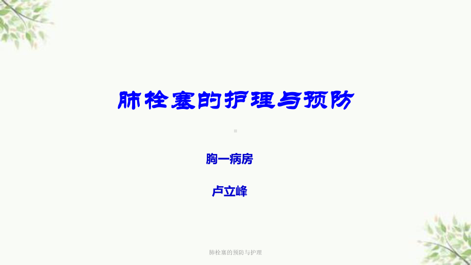 肺栓塞的预防与护理课件.ppt_第1页