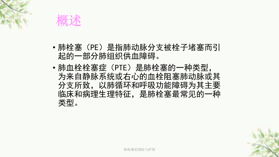 肺栓塞的预防与护理课件.ppt_第2页