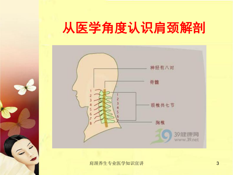 肩颈养生专业医学知识宣讲培训课件.ppt_第3页