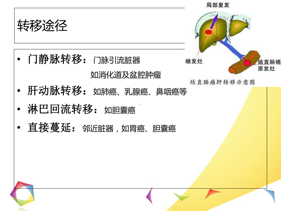 肝转移瘤的影像诊断和鉴别诊断医学课件.ppt_第3页