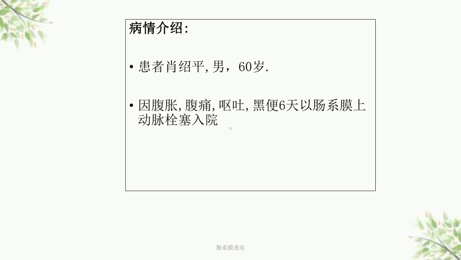 肠系膜查房课件.ppt_第2页