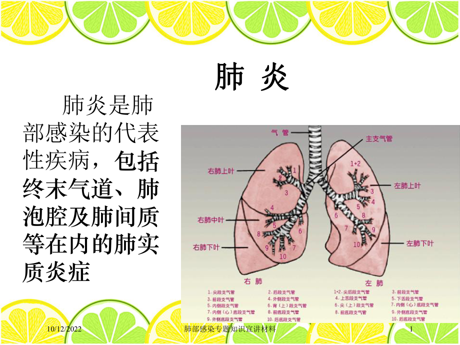 肺部感染专题知识宣讲材料培训课件.ppt_第1页