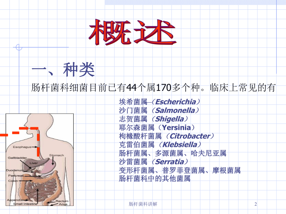 肠杆菌科讲解培训课件.ppt_第2页