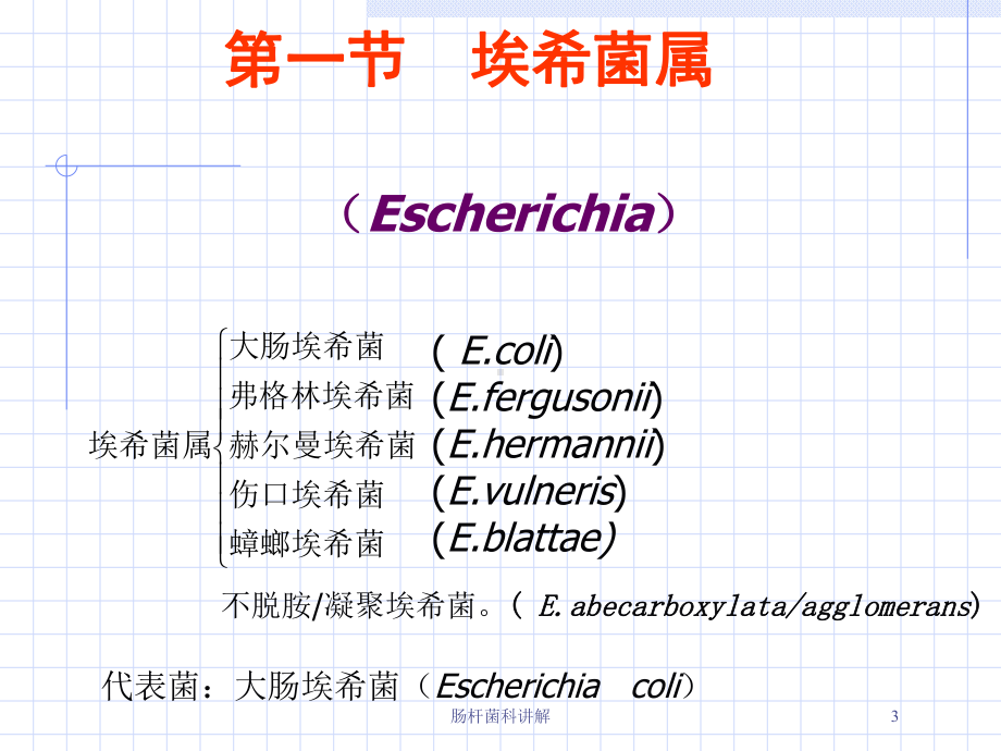 肠杆菌科讲解培训课件.ppt_第3页