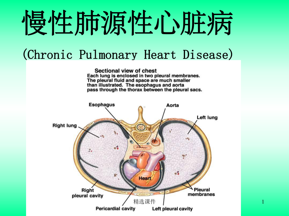 肺心病的护理课件.ppt_第1页