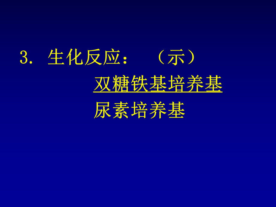 肠道杆菌和厌氧菌实验优质课件.ppt_第3页