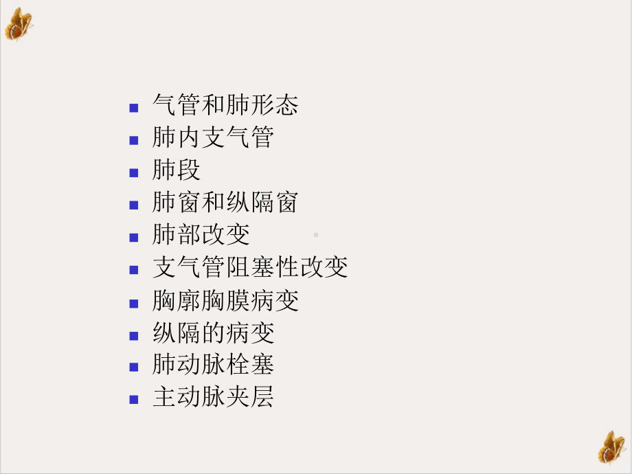 肺CT的解读讲课课件.ppt_第2页