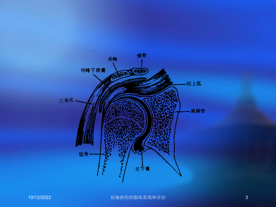 肩袖损伤的临床表现和诊治培训课件.ppt_第3页