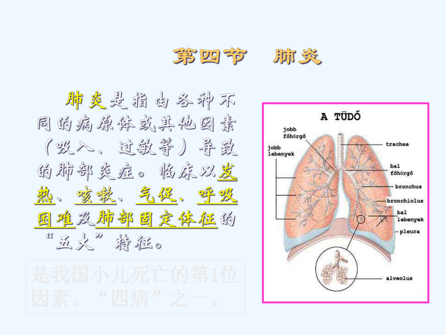 肺炎是指由各种不同的病原体或其他因素吸入过敏等导致的肺解析课件.ppt_第1页