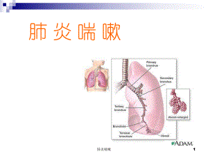 肺炎喘嗽课件.ppt