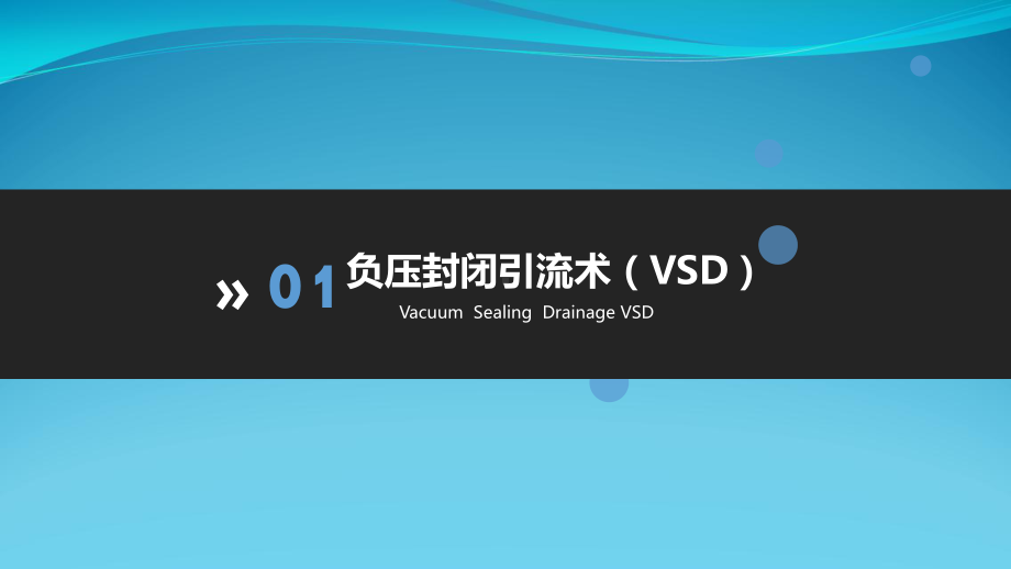 VSD在压疮治疗中的应用课件.pptx_第2页