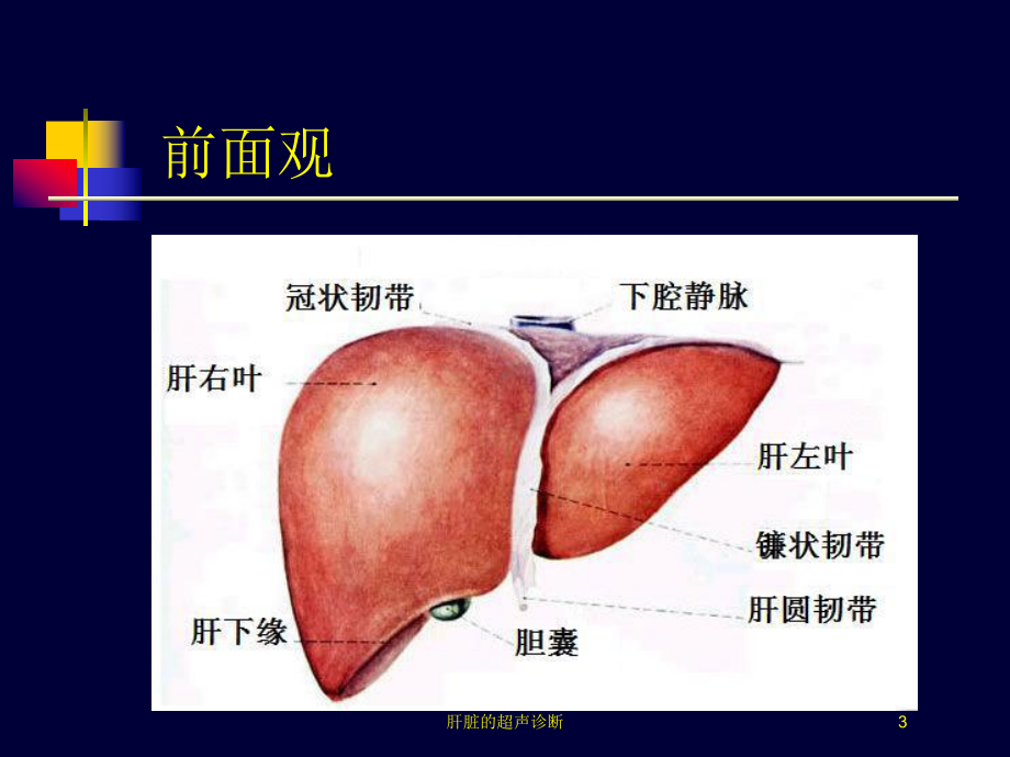 肝脏的超声诊断培训课件.ppt_第3页