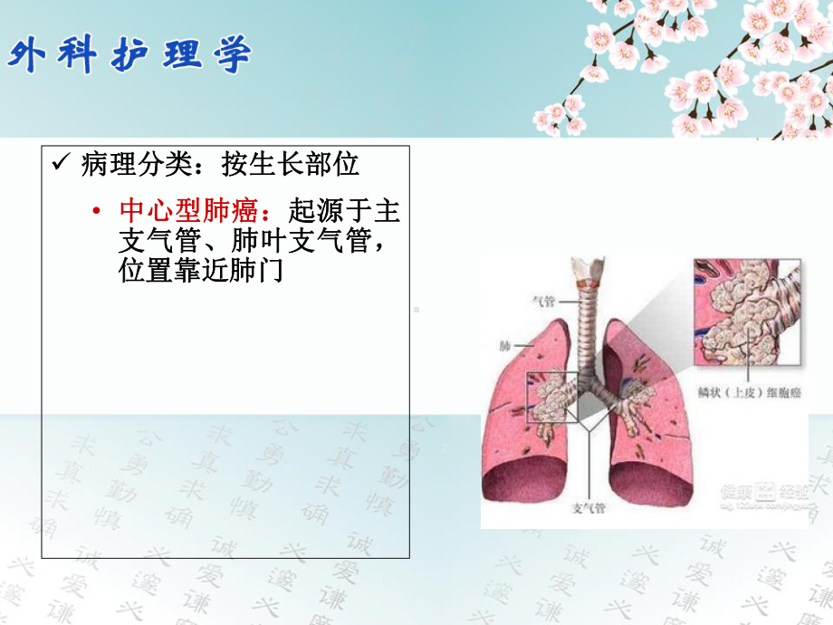 肺癌患者的护理课件2.ppt_第3页