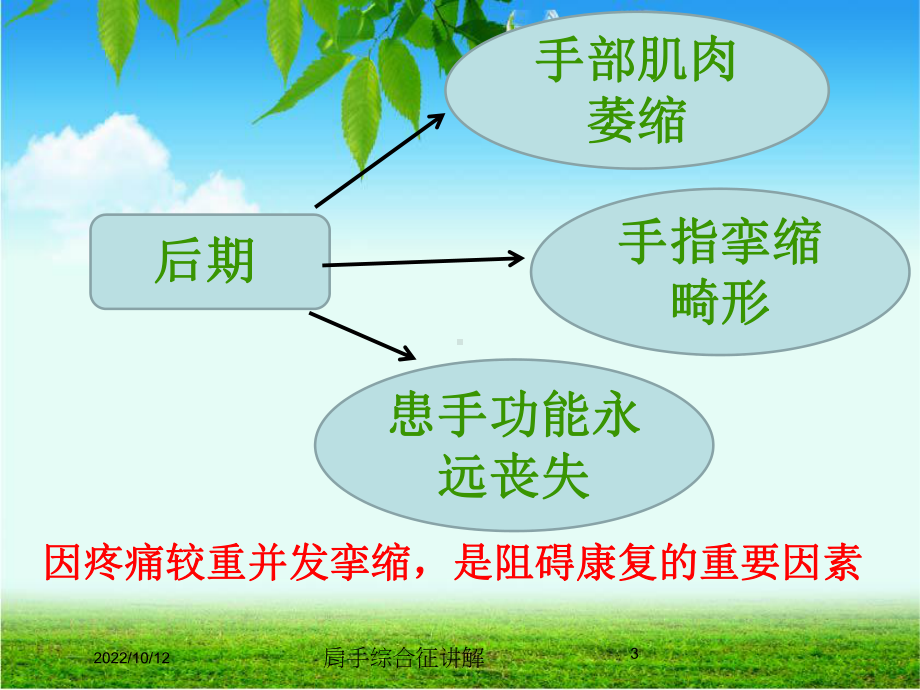 肩手综合征讲解培训课件.ppt_第3页