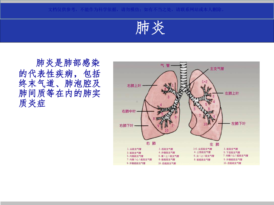 肺部感染专业医学知识宣讲课件.ppt_第1页