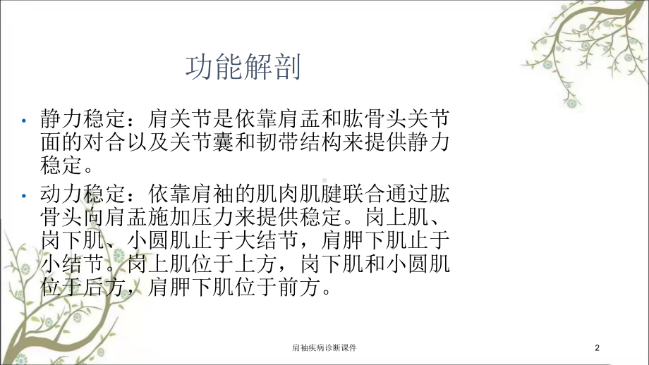 肩袖疾病诊断课件.ppt_第2页