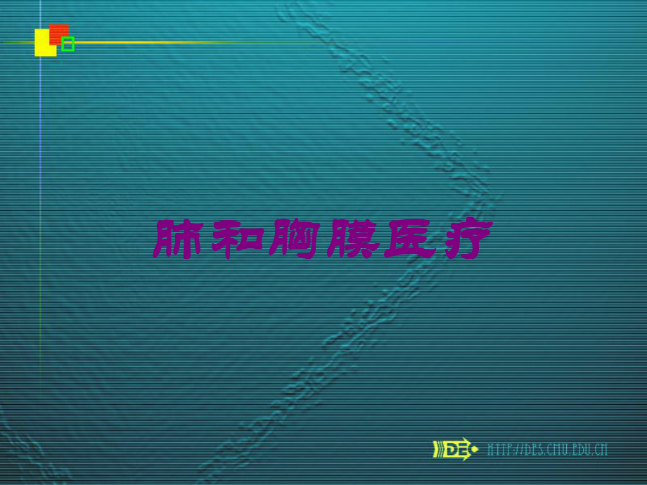 肺和胸膜医疗培训课件.ppt_第1页