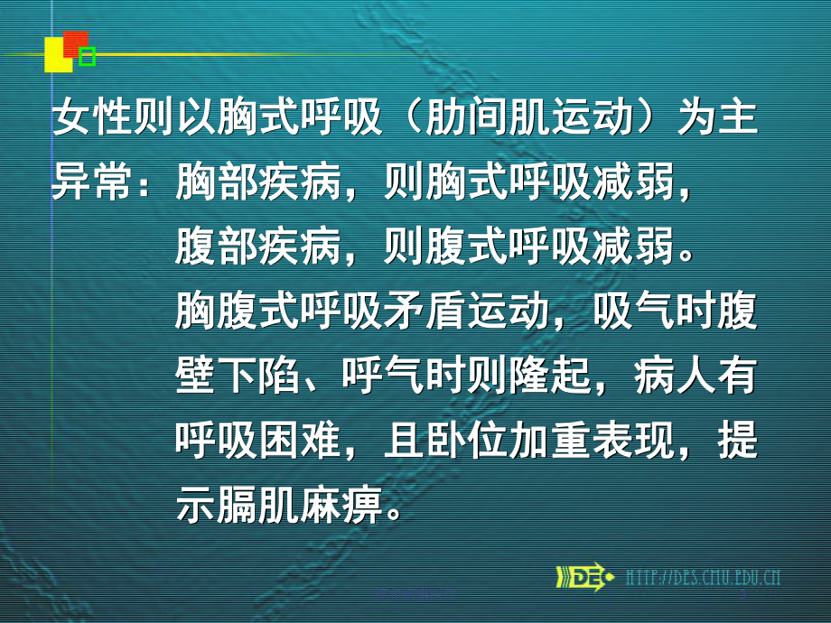 肺和胸膜医疗培训课件.ppt_第3页