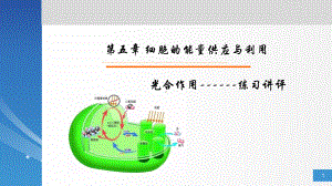 人教版高中生物课件：必修一第五章-4光合作用与光2.pptx