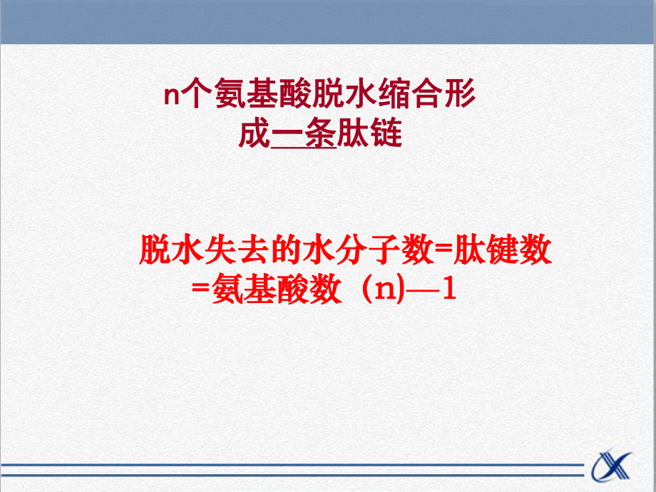 人教版高中生物必修1分子与细胞课件知识点-蛋白质形成过程中的相关计算.ppt_第3页