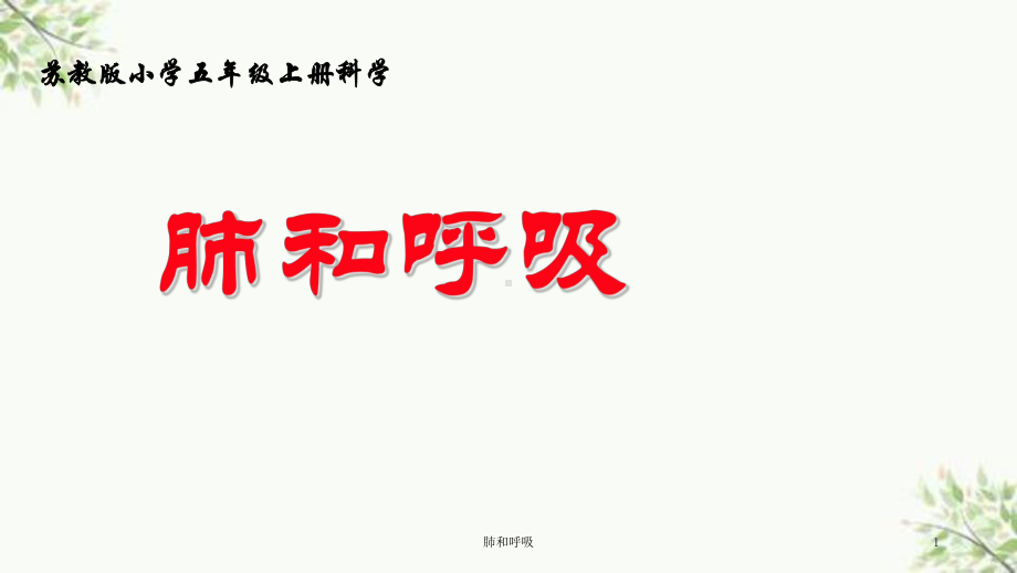 肺和呼吸课件.ppt_第1页