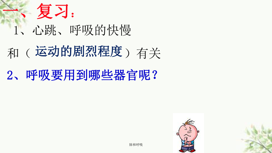 肺和呼吸课件.ppt_第2页