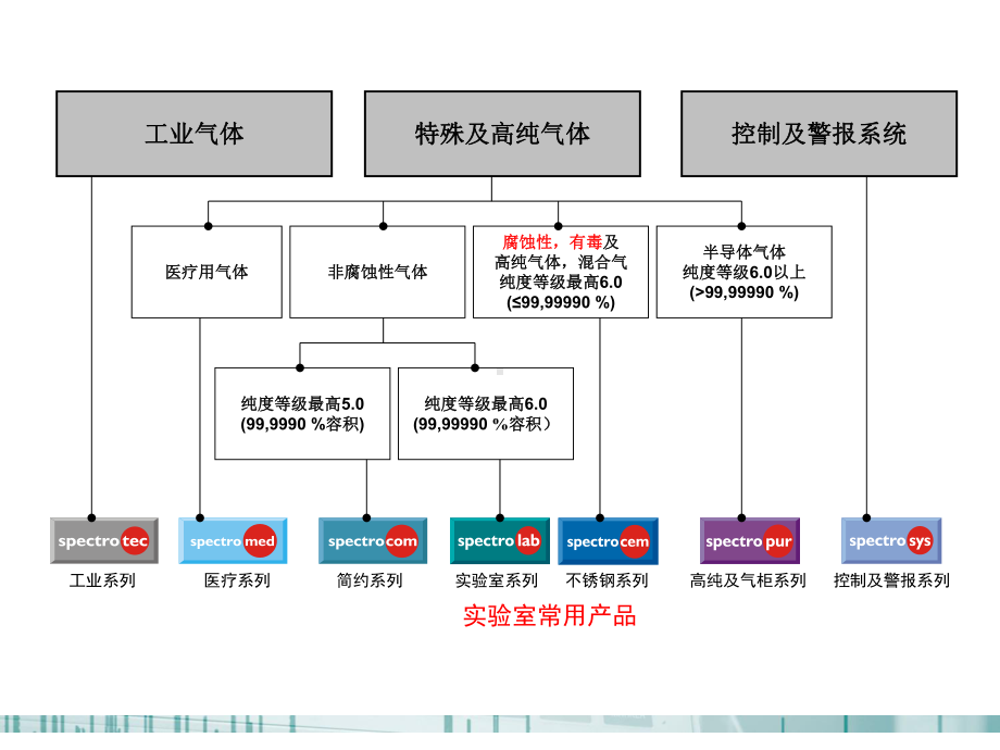 Spectron实验室气路系统课件.pptx_第2页