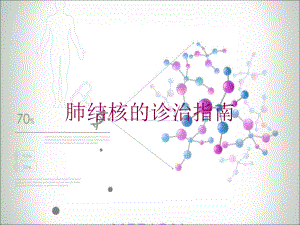 肺结核的诊治指南培训课件.ppt