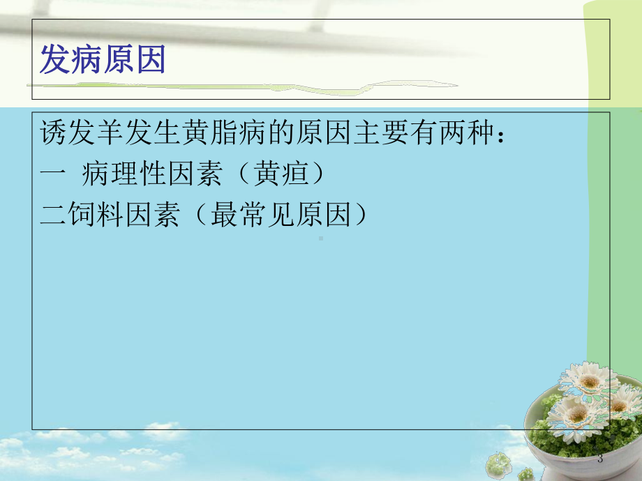 育肥羊黄脂肪与黄疸的病因分析及鉴别最全课件.ppt_第3页