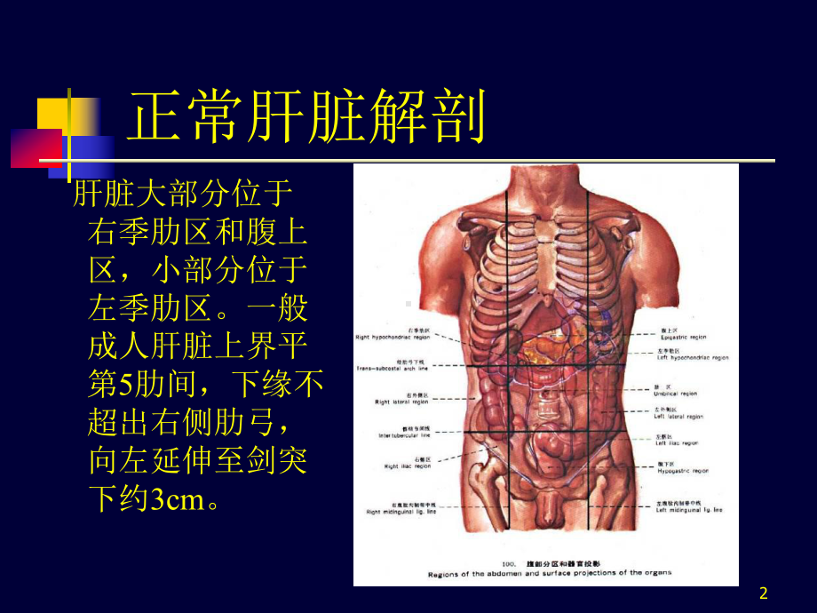 肝脏超声课件.ppt_第2页