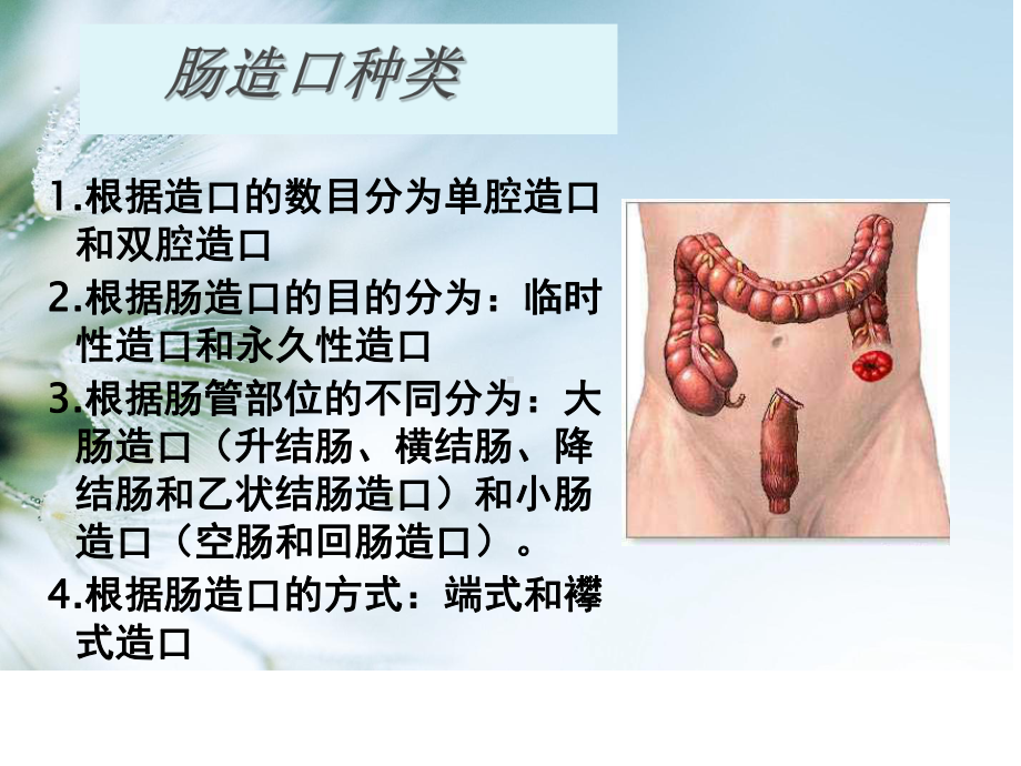 肠造口护理专题知识讲座课件.ppt_第3页