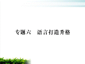 中考语文专项复习课件专题六-语言打造升格(共74张).ppt