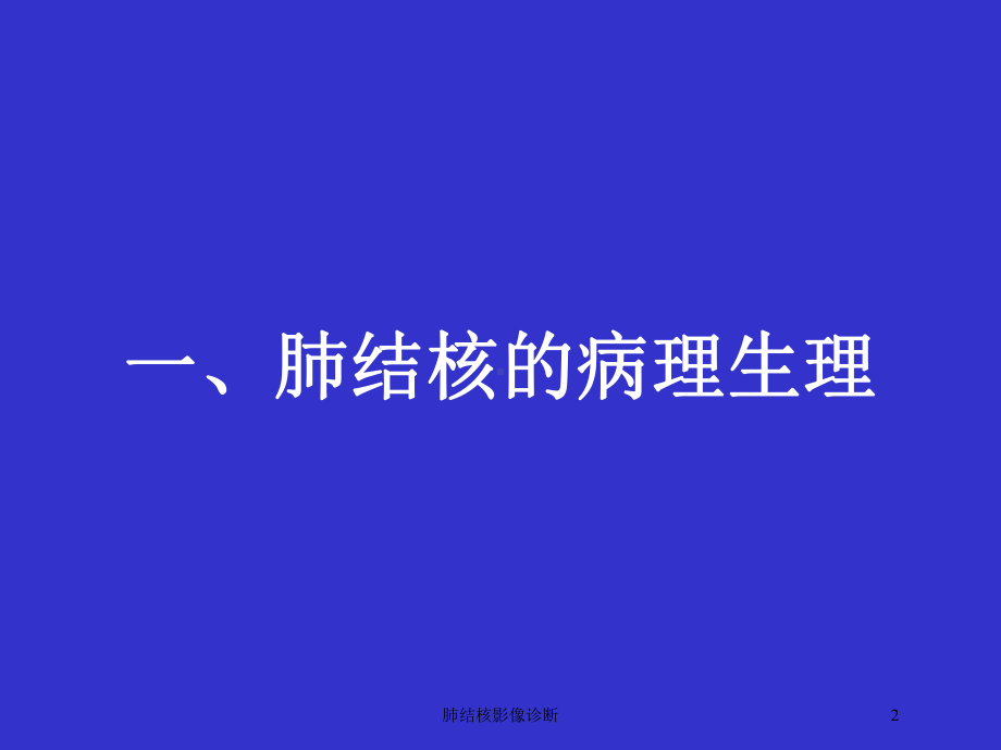 肺结核影像诊断培训课件.ppt_第2页