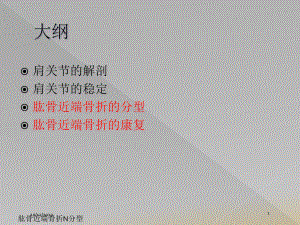 肱骨近端骨折N分型培训课件.ppt