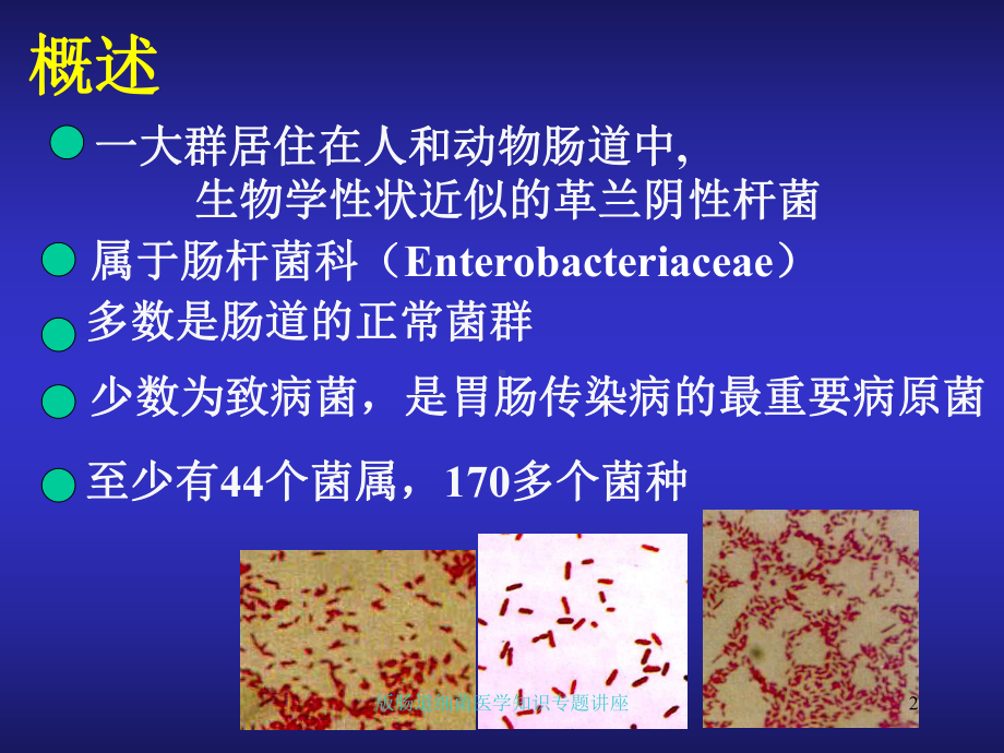 肠道细菌医学知识专题讲座培训课件.ppt_第2页