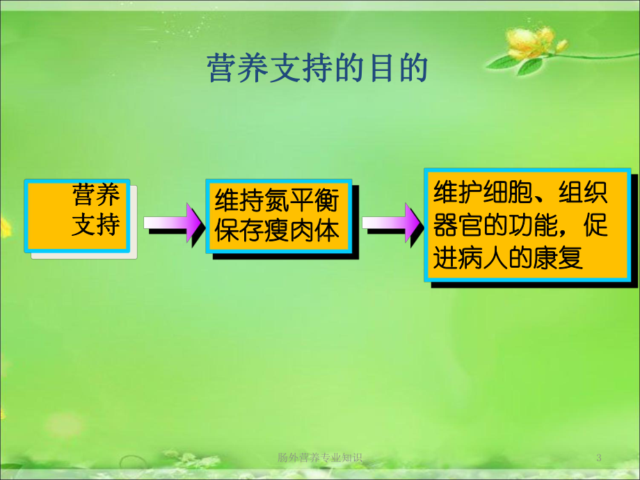 肠外营养专业知识培训课件.ppt_第3页