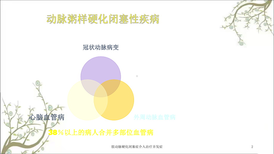 肢动脉硬化闭塞症介入治疗并发症课件.ppt_第2页