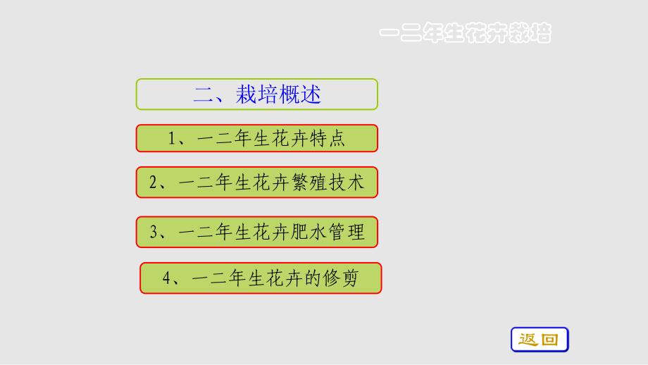 一二年生花卉栽培课件.pptx_第3页