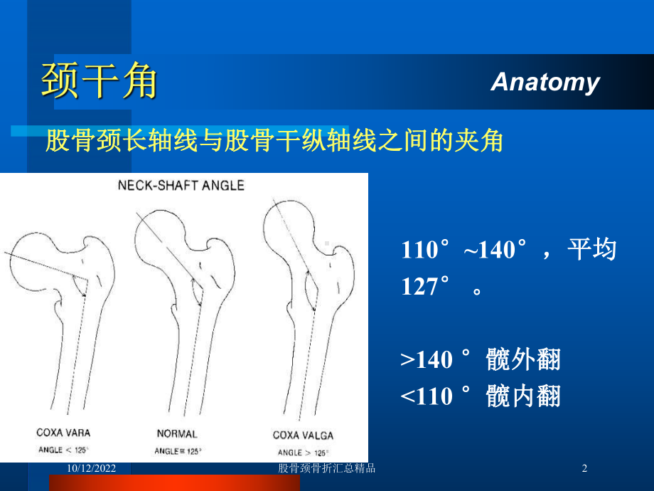 股骨颈骨折汇总培训课件-2.ppt_第2页