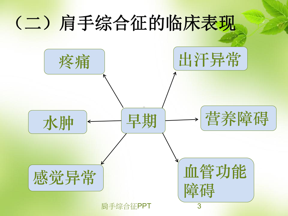 肩手综合征培训课件.ppt_第3页