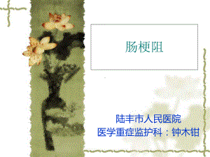 肠梗阻课件综述.ppt