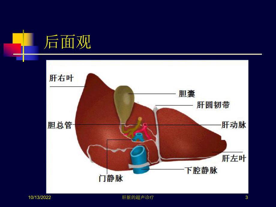 肝脏的超声诊疗培训课件.ppt_第3页