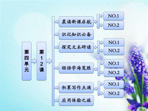 人教版高中语文必修3《动物游戏之谜》课件14.ppt