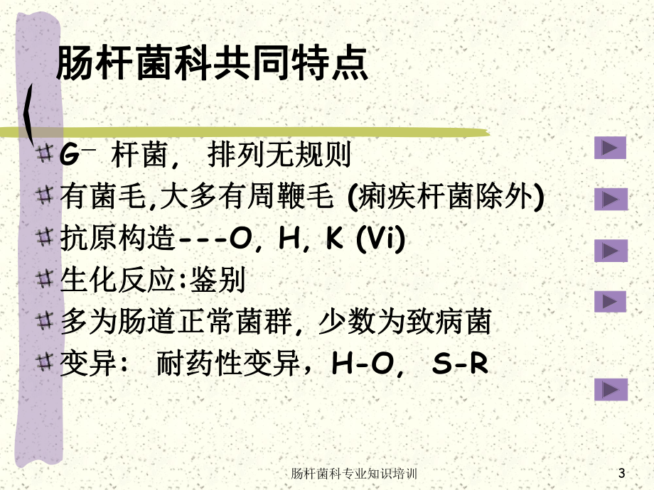 肠杆菌科专业知识培训培训课件.ppt_第3页