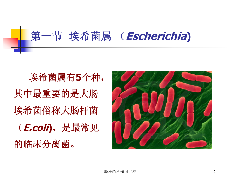 肠杆菌科知识讲座培训课件.ppt_第2页