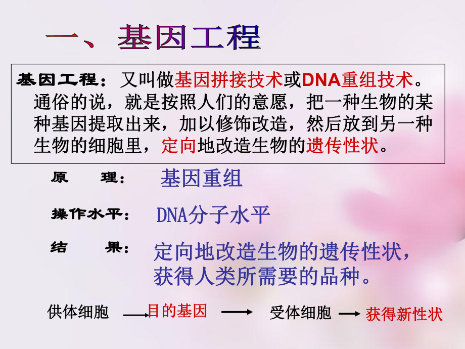 人教版高中生物必修二《基因工程及其应用》教案课件.ppt_第3页